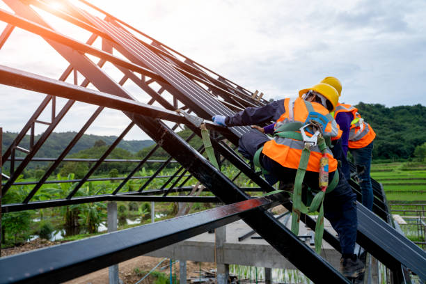 Roof Gutter Cleaning in Silver Lake, KS