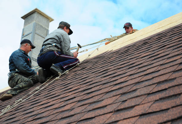 Best Shingle Roofing Installation  in Silver Lake, KS